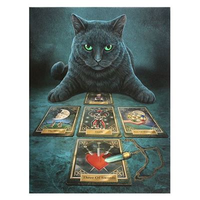 Cat Fortune Teller Canvas Picture by Lisa Parker